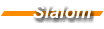 Slalom